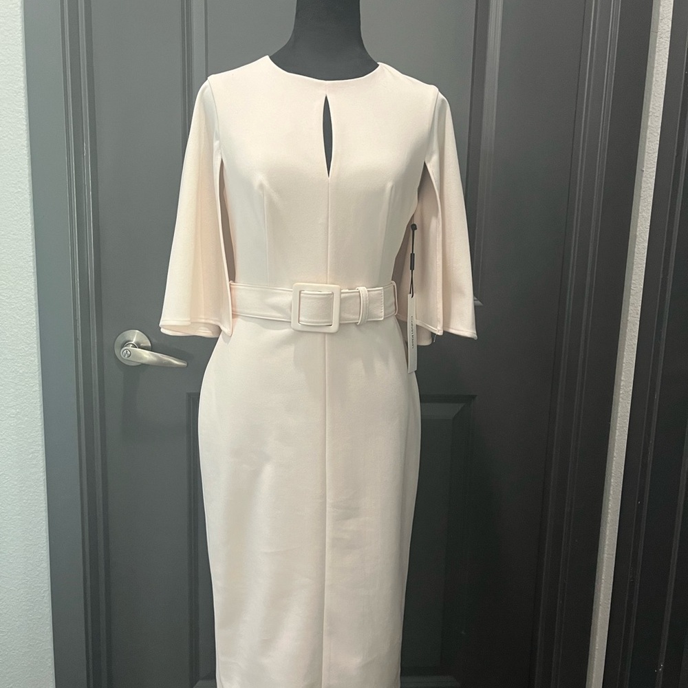 NWT  Calvin Klein Sheath Dress Size 2 purchased at Macys. Pink (petal)